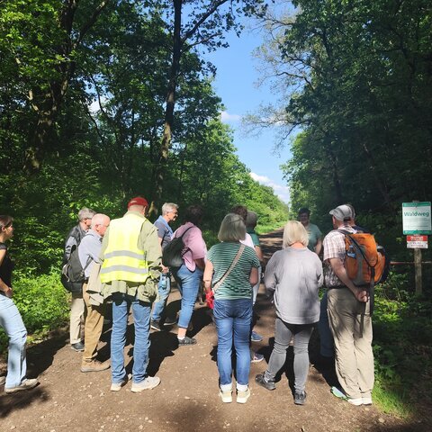 Gästeführer im Wald