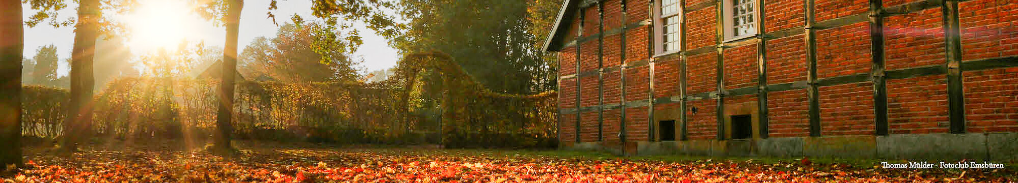 Herbst Blätter Heimathof - Thomas Mülder - Fotoclub Emsbüren-2