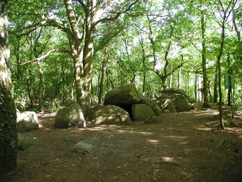 Das Bild zeigt die Mehringer Hünensteine im lichtdurchfluteten Wald