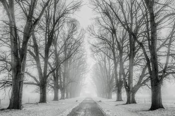 winter-1890653_pixabay_12019