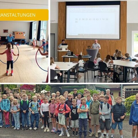 Collage Sommerferienprogramm