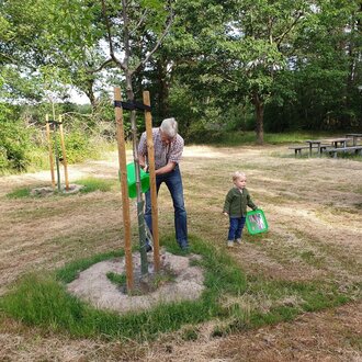 Das Bild zeigt Ortsbürgermeister Reinhard Piepel mit Enkelkind beim Bewässern der neu gepflanzten Bäume in der Nähe der Hünensteine Mehringen