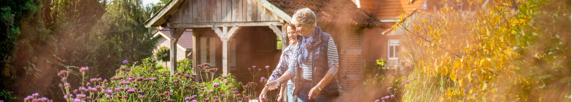 Heilkräutergarten 2025