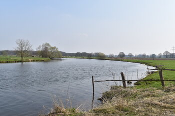 Das Bild zeigt die Ems im Ortsteil Elbergen