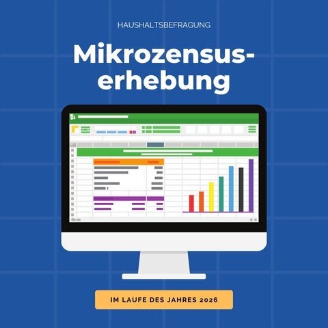 Mikrozensuserhebung Anzeige