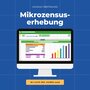 Mikrozensuserhebung Anzeige