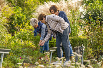 Frauen im Heilkräutergarten