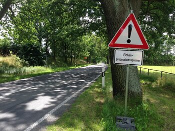 Das Bild zeigt ein Warnschild Achtung Eichenprozessionsspinner an einer Landstraße, Bild von ceskyfreund36 auf Pixabay